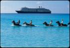 Hawaii Cruises from San Diego - California Hawaii Cruises